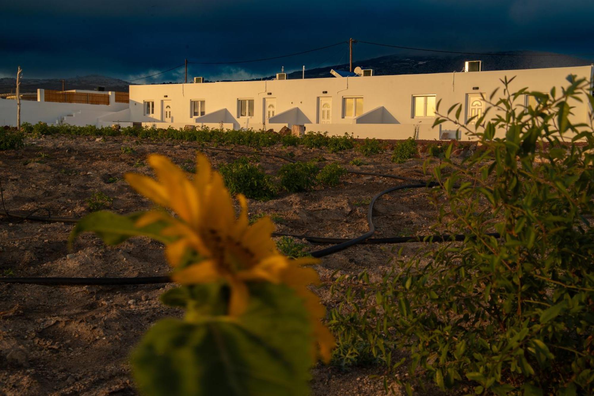 Calma Eco Houses Sunset View Emporio  Buitenkant foto
